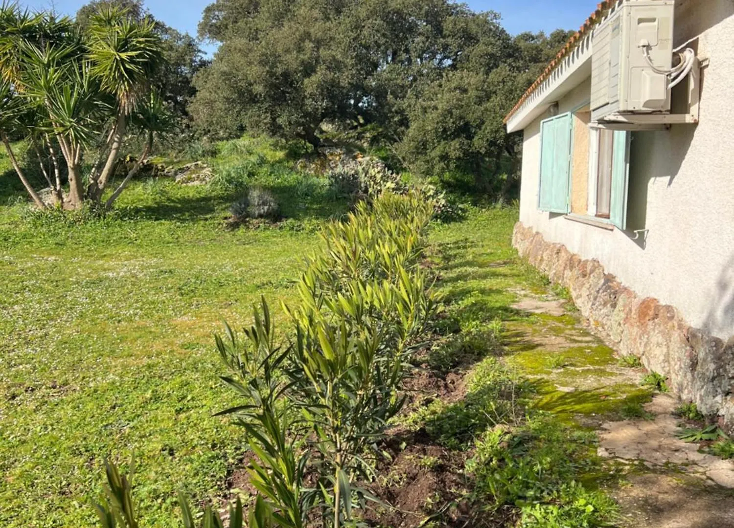 Il Lentischio Domo Mea Villa Nulvi Italien