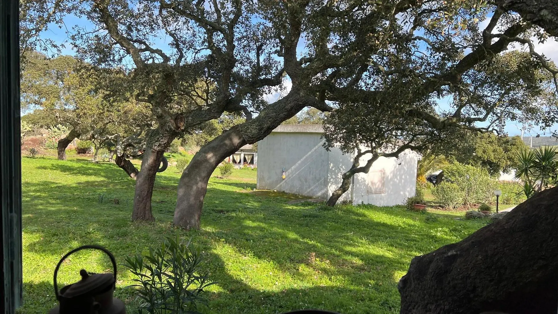 Il Lentischio Domo Mea Villa Nulvi 0*,