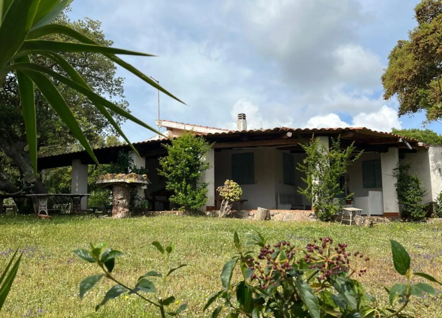 Il Lentischio Domo Mea Villa Nulvi